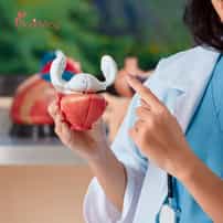 Stem Cell Therapy for Liver Disease in India: A Comprehensive Guide to Regeneration & Recovery